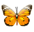Mariposa Computer Science Magnet School Logo